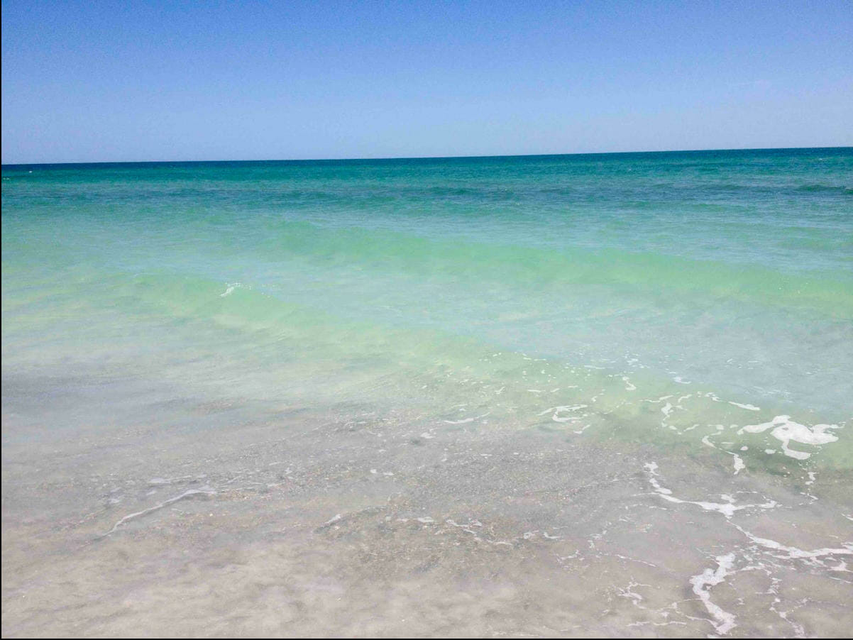 Longboat Key Florida 2 Bedroom Condo Diamond Compass Travel Inc 17 1