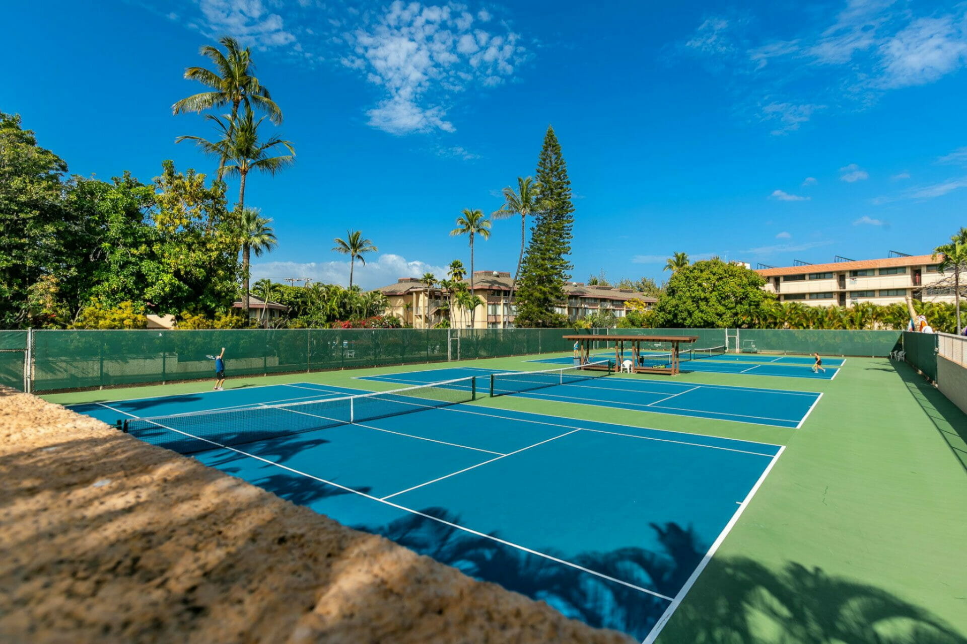 Maui Hawaii 1 Bedroom Condo Diamond Compass Travel Inc 5 2