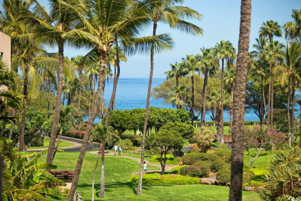 Maui Hawaii 1 Bedroom Condo Diamond Compass Travel Inc 7 2