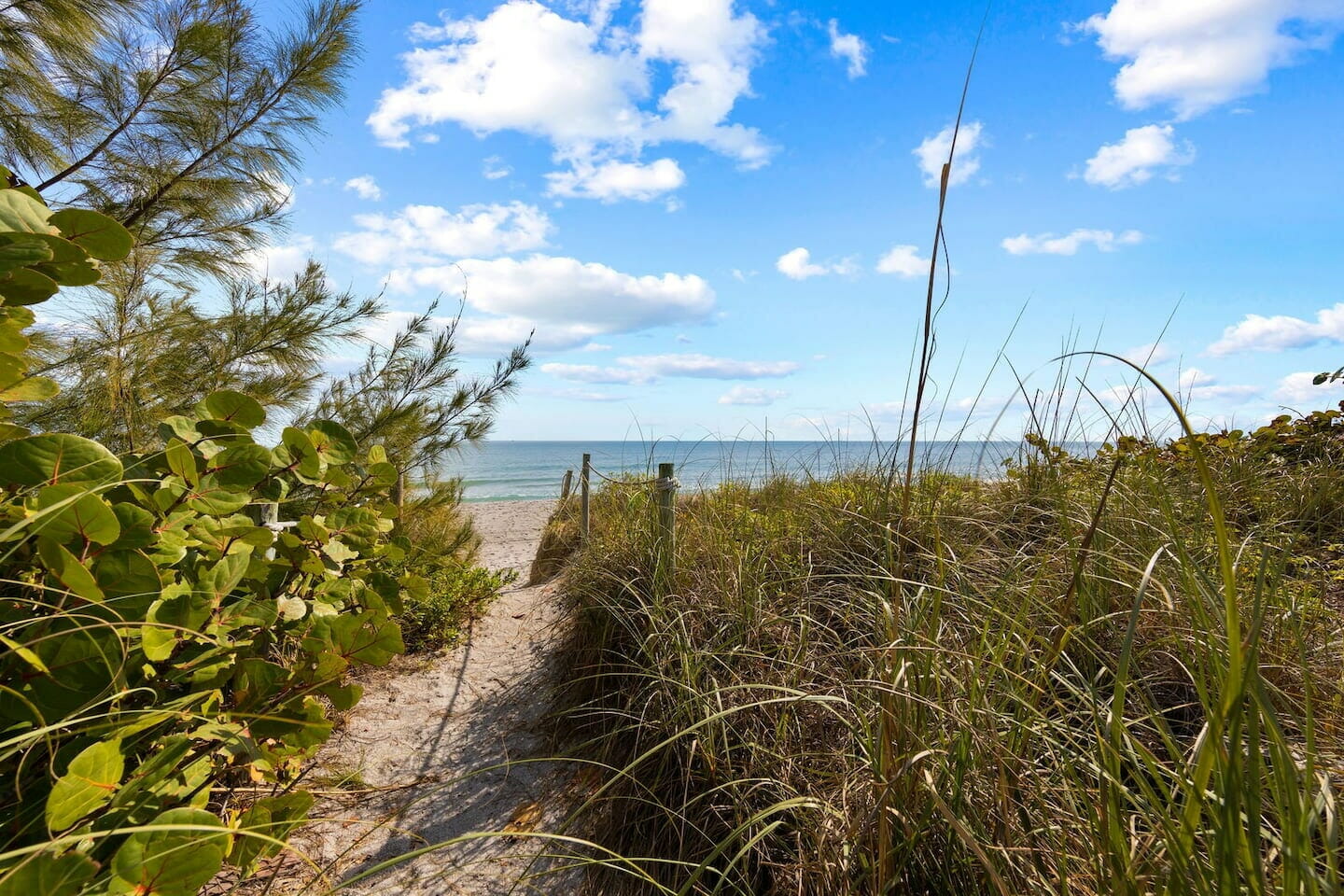 Captiva Island 1