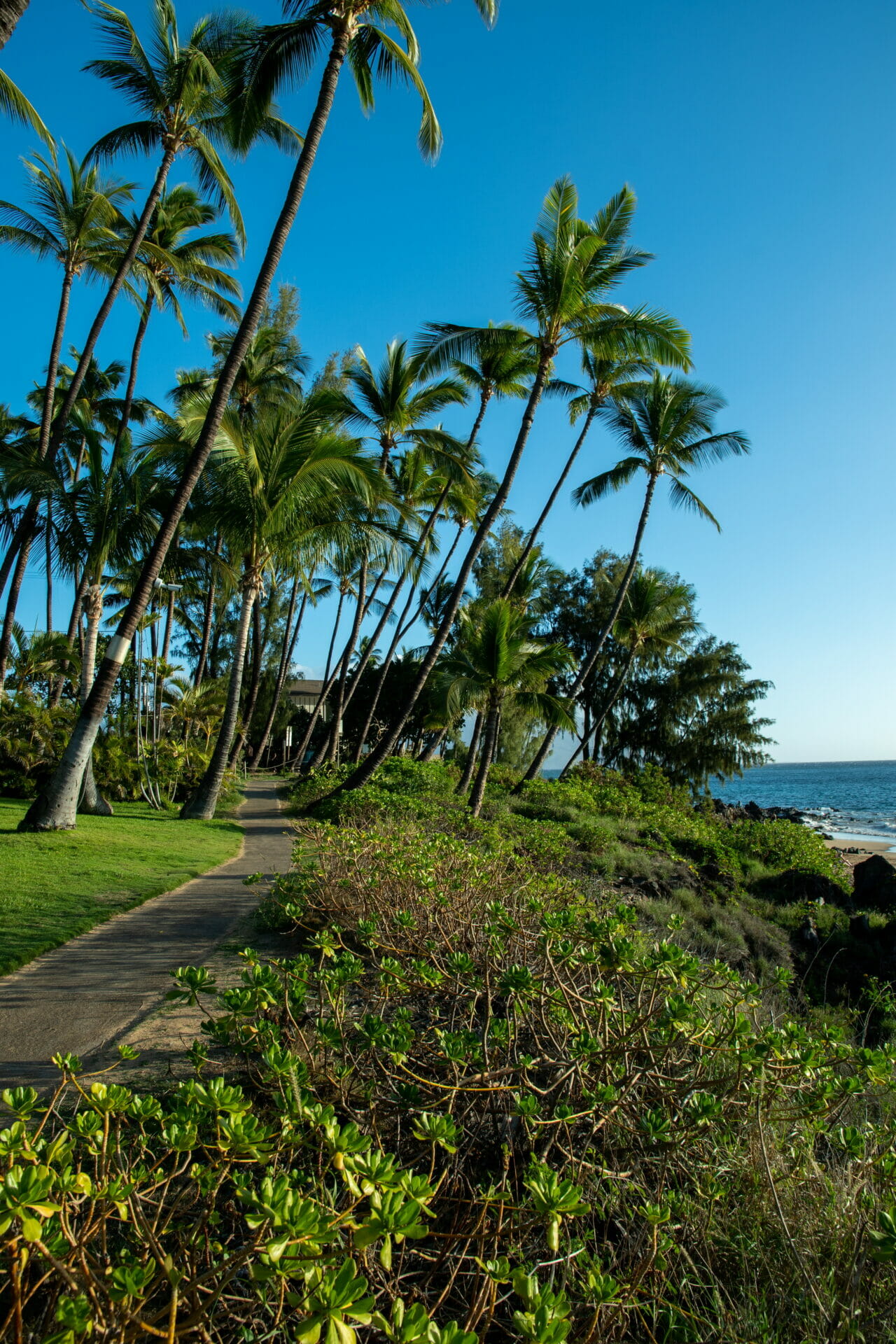 Maui Hawaii 1 Bedroom Condo Diamond Compass Travel Inc 6